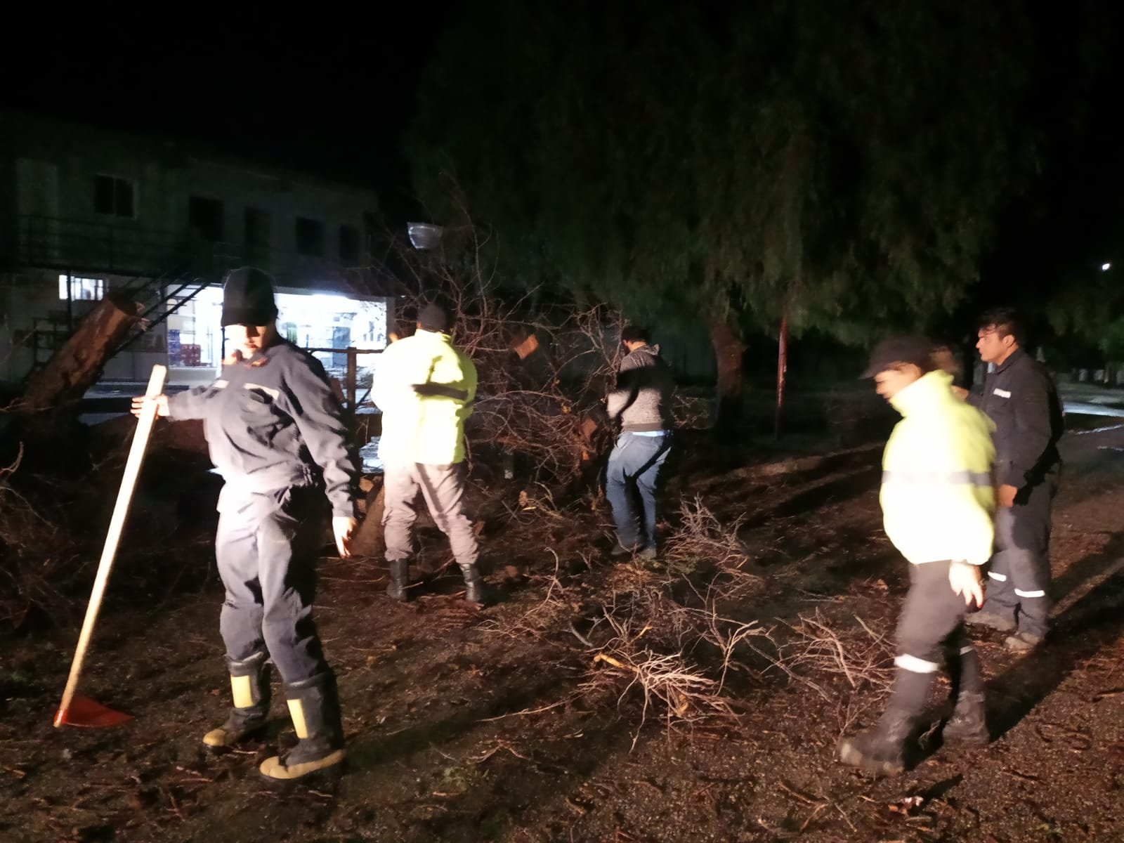 EL FUERTE VIENTO PROVOCÓ LA CAIDA DE UN ÁRBOL EN BARRIO RADAR